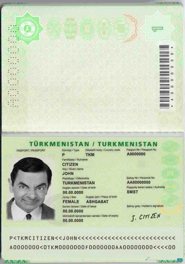 Angola LNG proof of address utility bill template in Word and PDF format